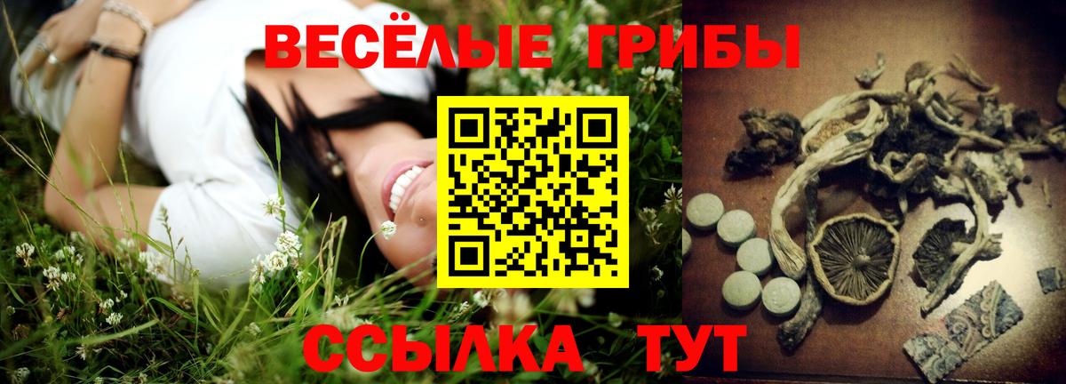 Галлюциногенные грибы Psilocybe Орёл